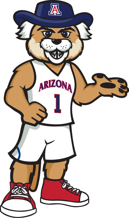 Arizona Wildcats 2013-Pres Mascot Logo v3 diy iron on heat transfer